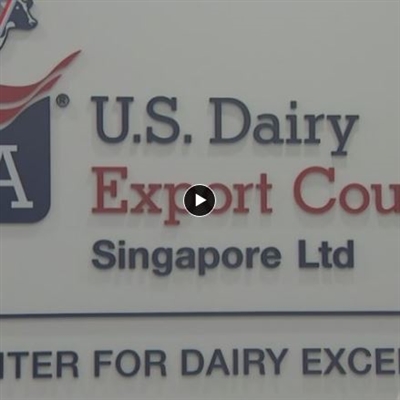 Channel News Asia Video